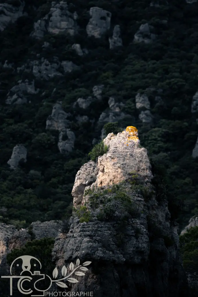 fragment-roche-solitaire-montagne-teva-coffaro