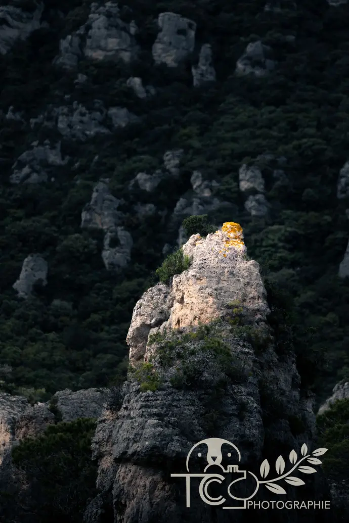 fragment-roche-solitaire-montagne-teva-coffaro